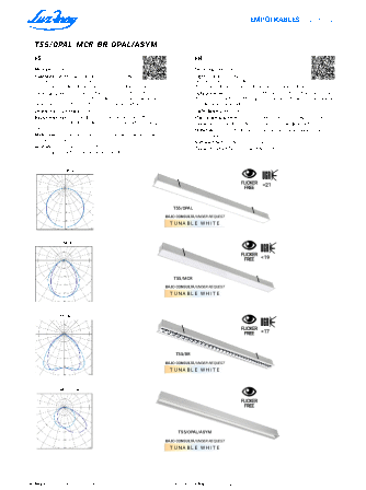 View pdf